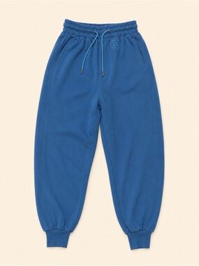 Alexander Wang Blue Jogger Pants